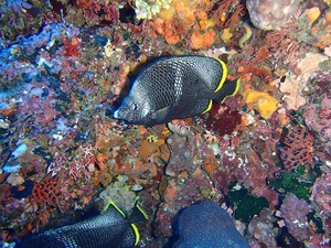 P8140136