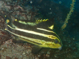 P6280159