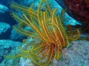 PB060150