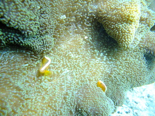 DSCF9843