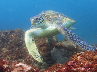 P8140434