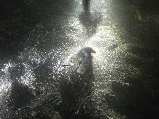 IMAG0021