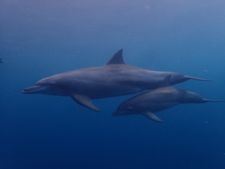 P9250100 3