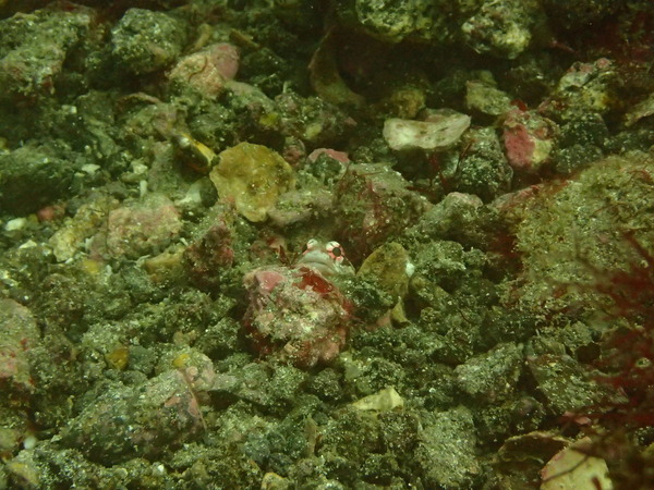 P9210879