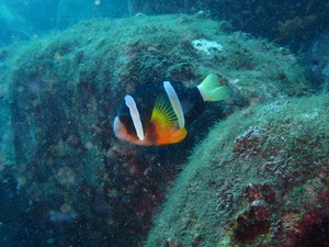P7310183
