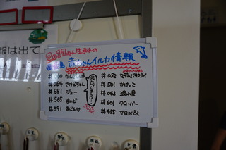DSC08139