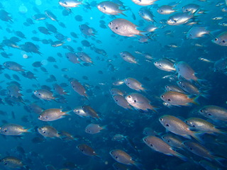 P9281022