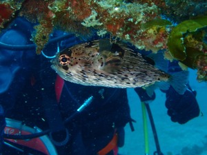 P3300121