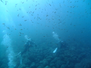 DSCF0632