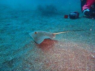 P4040556