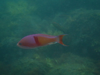 P6240020