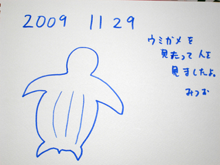 29日感想5