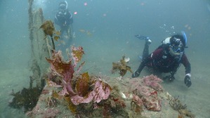 P9070189