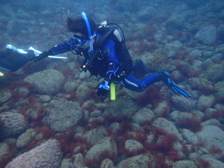P1280075