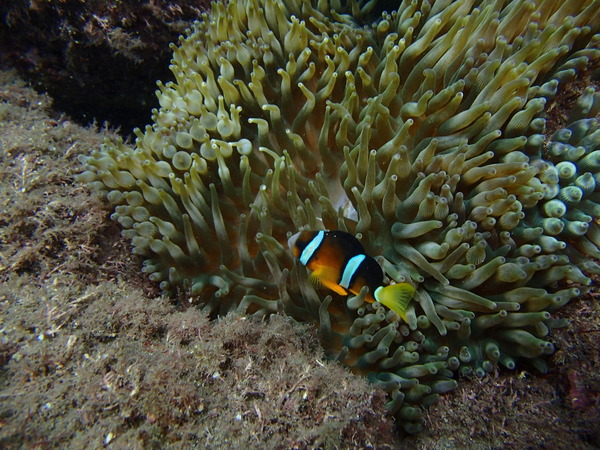 P9260021