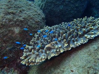 P9240724