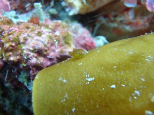 P4150014 (1)