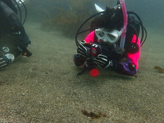 P7050314