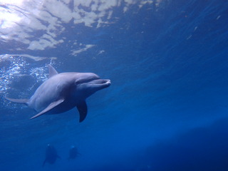 P6240276