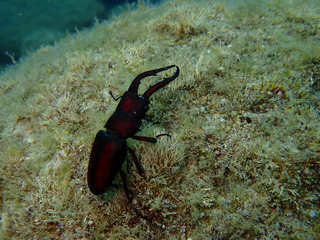 P9030255