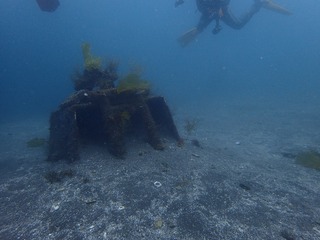 P4290055