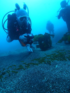 M0016084
