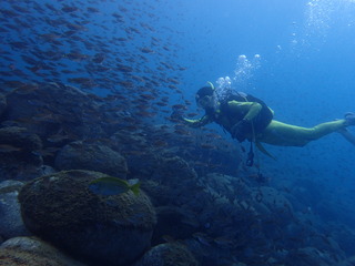 P9030378
