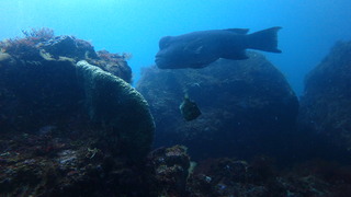 P4290876