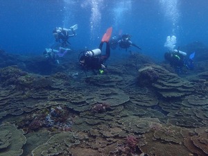 P8110056