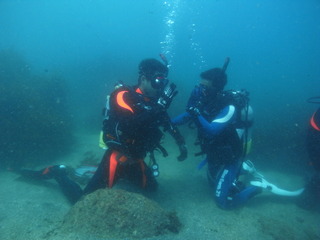 M0022811