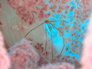 P3190344