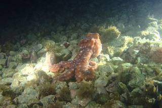 P7290126