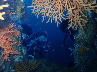 P6090936