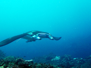 PA220519