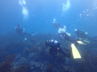 PB050241