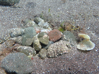 P7150019