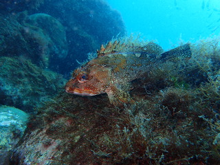 P4140104