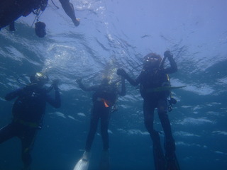 P4290161
