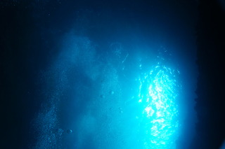 DSC00555