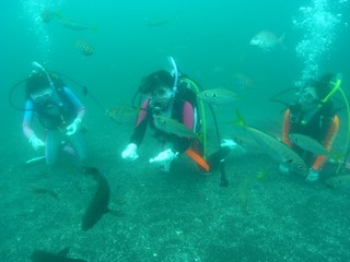 海洋実習で魚いっぱい