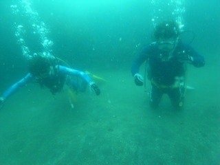 M0010041