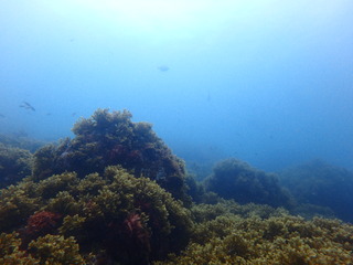 P7160052