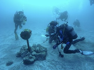 ダイビング中にハガキ