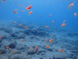 P9160315