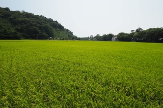P7240052