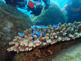 P8270144