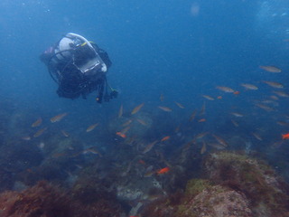 P4140154