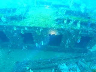 M0021045