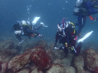P4240183