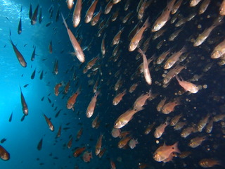PB050048